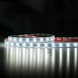 FULLWAT - FU-BLF-2835-2165-WX. Professional LED strip. 2100 ~ 6500K  - Adjustable - 24Vdc - 2700 Lm/m - IP67