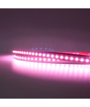 FULLWAT - MKT-2835-PK3-H2X. Professional LED strip. 2975K  - Pink - 24Vdc - 1560 Lm/m - IP20