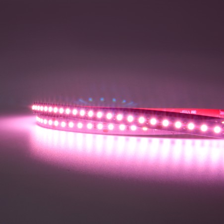 FULLWAT - MKT-2835-PK3-H2X. Professional LED strip. 2975K  - Pink - 24Vdc - 1560 Lm/m - IP20