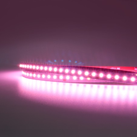 FULLWAT - MKT-2835-PK3-H2X25. Professional LED strip. 2975K  - Pink - 24Vdc - 1560 Lm/m - IP20