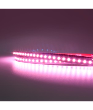 FULLWAT - MKT-2835-PK3-H2X25. Striscia LED speciale per il cibo.2975K- rosa- 24Vdc- 1560 Lm/m