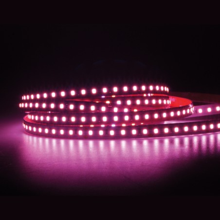 FULLWAT - MKT-2835-PK2-H2X. Professional LED strip. 2550K  - Pink - 24Vdc - 1460 Lm/m - IP20