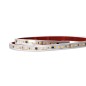 FULLWAT - ACCX-2835-BF-LW/50. Striscia LED accx - 220vac.6500K- Bianco freddo- 220 ~ 240 Vac- 560 Lm/m