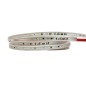 FULLWAT - ACCX-5630-BF-W/50. Professional LED strip. 6500K  - Cool white - 220 ~ 240 Vac - 1470 Lm/m - IP65