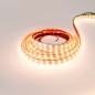 FULLWAT - CCTX-2835-BF97-WX. Ruban led professionnel. 6500K - Blanc froid - 24Vdc - 1200 Lm/m - IP67