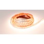 FULLWAT - CCTX-2835-21-2X. Professional LED strip. 2100K  - Extra-warm white - 24Vdc - 2175 Lm/m - IP20