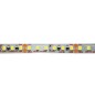 FULLWAT - CCTX-2835-BC-2X. Professional LED strip. 3000K  - Warm white - 24Vdc - 2350 Lm/m - IP20