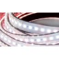 FULLWAT - CCTX-2835-BF-2WX. Professional LED strip. 6500K  - Cool white - 24Vdc - 2600 Lm/m - IP67