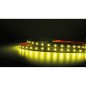 FULLWAT - DECCOR-2835-B3-X. Striscia LED bianchi speciali.3600K- Giallo limone- 24Vdc- 930 Lm/m