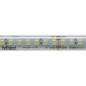 FULLWAT - DOMOX-2835-BF-4WDX. Striscia LED standard.6500K- Bianco freddo- 24Vdc- 2313 Lm/m