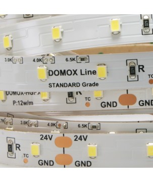 FULLWAT - DOMOX-2835-BF-HGPX. Striscia LED standard.6500K- Bianco freddo- 24Vdc- 1380 Lm/m