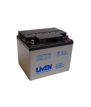 LIVEN - LEVG40-12. Batterie rechargeable au Plomb-acide technologie GEL-VRLA. Série LEVG. 12Vdc / 40Ah