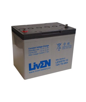 LIVEN - LEVG70-12. Bateria recarregável de chumbo ácido en tecnologia GEL-VRLA. Série LEVG. 12Vdc / 70Ah