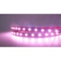 FULLWAT - MKT-2835-PK0-HX. Professional LED strip. 4700K  - Pink - 24Vdc - 1080 Lm/m - IP20