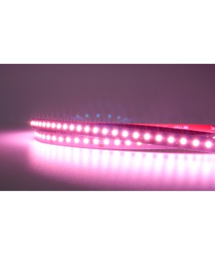 FULLWAT - MKT-2835-PK3-H2X. Professional LED strip. 2975K  - Pink - 24Vdc - 1560 Lm/m - IP20