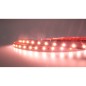 FULLWAT - MKT-2835-PK5-HX. Professional LED strip. 2600K  - Pink - 24Vdc - 960 Lm/m - IP20
