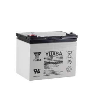 YUASA - REC36-12I. Lead Acid rechargeable battery. AGM-VRLA technology. REC series. 12Vdc. / 36Ah 