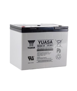 YUASA - REC80-12I. Wiederaufladbare Blei-Säure Batterie der Technik AGM-VRLA. Serie REC. 12Vdc / 80Ah