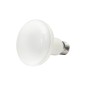 FULLWAT - XZN80R-11BC60. 11W LED bulb. E27 - 800Lm - 220 ~ 240 Vac